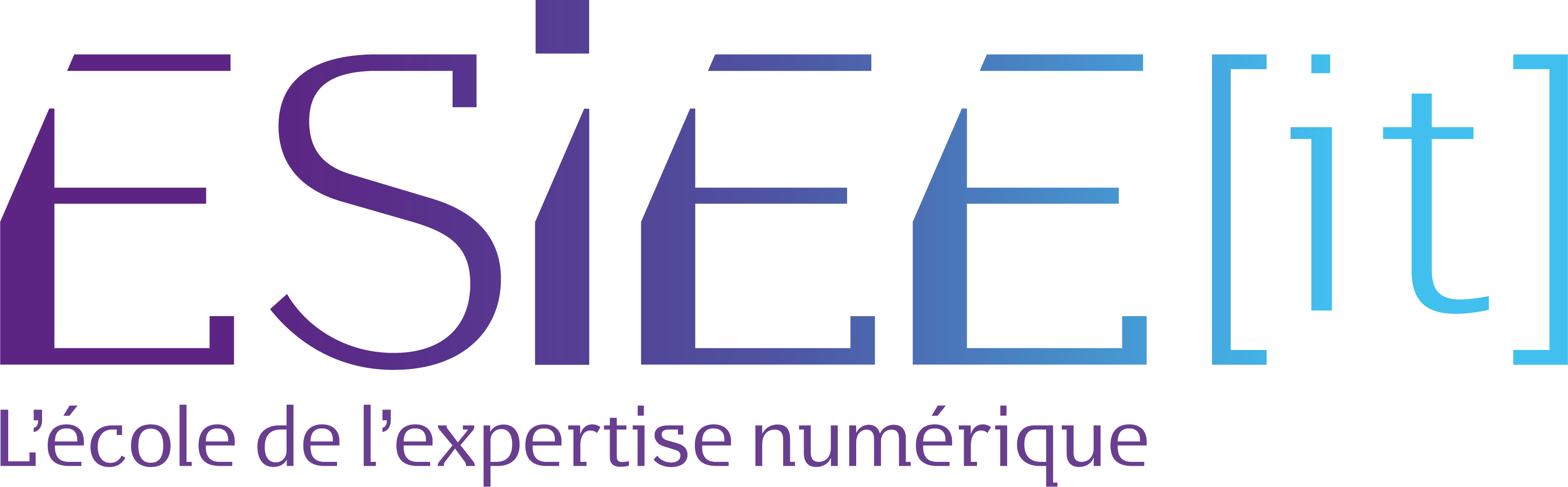 ESIEE-IT logo